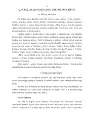 Populiariausi renginiai Utenos apskrityje 5 puslapis