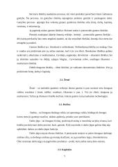 Poreikiai: esmė, klasifikacija 5 puslapis