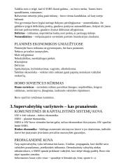 Šaltasis karas. Istorijos konspektas 3 puslapis