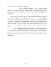 Poreikių esmė, jų klasifikacija bei realizavimas 9 puslapis