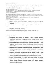 Renesansas Europoje. LDK apšvieta. Konspektas 13 puslapis