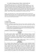 Renesansas Europoje. LDK apšvieta. Konspektas 19 puslapis