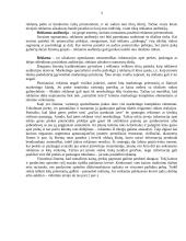 Pozicionavimas. Pozicionavimo taisyklių nepaisymas 2 puslapis