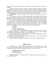 Pozicionavimas. Pozicionavimo taisyklių nepaisymas 5 puslapis