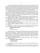 Pozicionavimas. Pozicionavimo taisyklių nepaisymas 7 puslapis