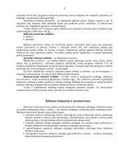 Pozicionavimas. Pozicionavimo taisyklių nepaisymas 8 puslapis