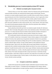 Pozitronų emisijos tomografija 10 puslapis