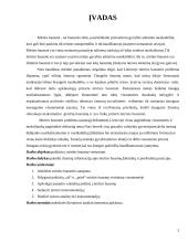 Požiūrio į mirties bausmę vertinimas 2 puslapis