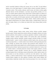 Pragyvenimo lygio įvertinimo metodika Lietuvoje ir Europos Sąjungoje (ES) 15 puslapis