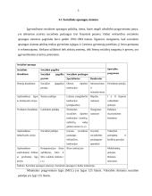 Pragyvenimo lygio įvertinimo metodika Lietuvoje ir Europos Sąjungoje (ES) 5 puslapis