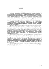 Praktikos ataskaita: Motinos ir vaiko pensionas 2 puslapis