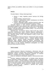 Praktikos ataskaita: Motinos ir vaiko pensionas 4 puslapis