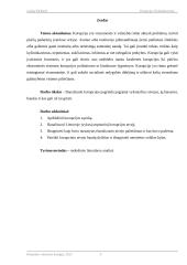 Korupcija. Kyšininkavimas. Buhalterinės apskaitos ir finansų savarankiškas darbas 2 puslapis