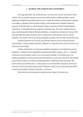 Korupcija. Kyšininkavimas. Buhalterinės apskaitos ir finansų savarankiškas darbas 3 puslapis