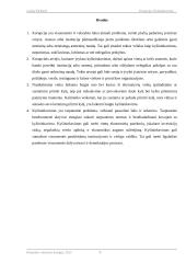 Korupcija. Kyšininkavimas. Buhalterinės apskaitos ir finansų savarankiškas darbas 8 puslapis