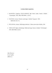 Praktinė verslo analizė: UAB "Langas" 13 puslapis
