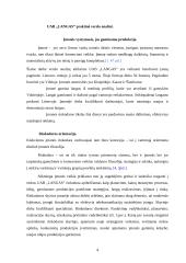 Praktinė verslo analizė: UAB "Langas" 3 puslapis