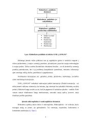 Praktinė verslo analizė: UAB "Langas" 4 puslapis