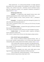 Praktinė verslo analizė: UAB "Langas" 7 puslapis