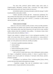 Praktinė verslo analizė: UAB "Langas" 8 puslapis