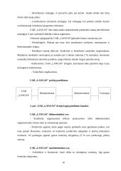 Praktinė verslo analizė: UAB "Langas" 9 puslapis