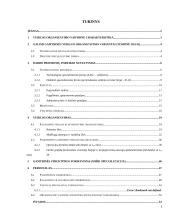 Pramonės gamybinio padalinio (įmonės) kūrimas ir organizavimas 2 puslapis