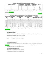 Pramonės gamybinio padalinio (įmonės) kūrimas ir organizavimas 13 puslapis
