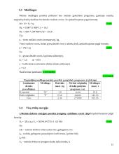 Pramonės gamybinio padalinio (įmonės) kūrimas ir organizavimas 16 puslapis