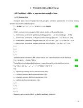 Pramonės gamybinio padalinio (įmonės) kūrimas ir organizavimas 19 puslapis