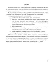 Pramonės gamybinio padalinio (įmonės) kūrimas ir organizavimas 4 puslapis