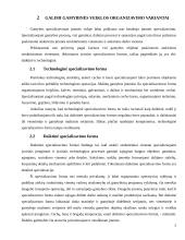 Pramonės gamybinio padalinio (įmonės) kūrimas ir organizavimas 6 puslapis