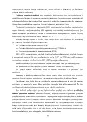 Prekės konkurencingumas 12 puslapis