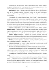 Prekės konkurencingumas 10 puslapis