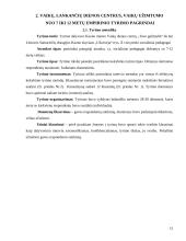 Vaikai, lankantys dienos centrus 15 puslapis