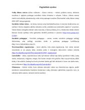 Vaikai, lankantys dienos centrus 4 puslapis