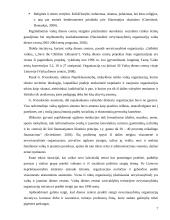 Vaikai, lankantys dienos centrus 7 puslapis