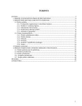 Prekės pritaikymas užsienio rinkoms 2 puslapis