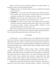 Prekės pritaikymas užsienio rinkoms 11 puslapis