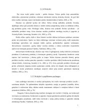 Prekės pritaikymas užsienio rinkoms 13 puslapis