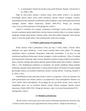 Prekės pritaikymas užsienio rinkoms 16 puslapis