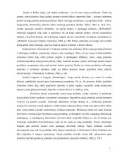 Prekės pritaikymas užsienio rinkoms 19 puslapis