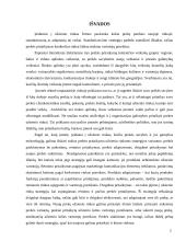 Prekės pritaikymas užsienio rinkoms 20 puslapis