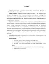 Prekės pritaikymas užsienio rinkoms 3 puslapis