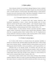 Prekės pritaikymas užsienio rinkoms 6 puslapis