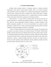 Prekės pritaikymas užsienio rinkoms 9 puslapis