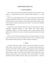 Iridžio charakteristika 3 puslapis