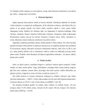 Iridžio charakteristika 4 puslapis