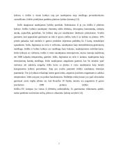 Iridžio charakteristika 6 puslapis