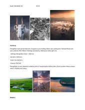 Mongolijos pristatymas 3 puslapis