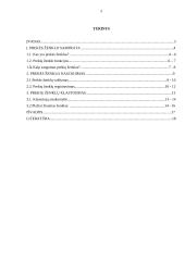 Prekės ženklo naudojimo koncepcija 2 puslapis